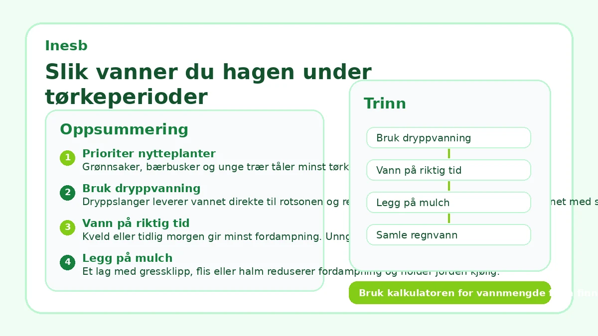 Slik vanner du hagen under tørkeperioder